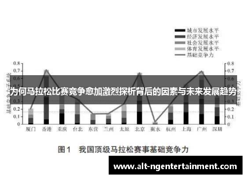 为何马拉松比赛竞争愈加激烈探析背后的因素与未来发展趋势