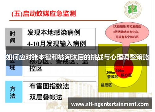 如何应对张本智和被淘汰后的挑战与心理调整策略