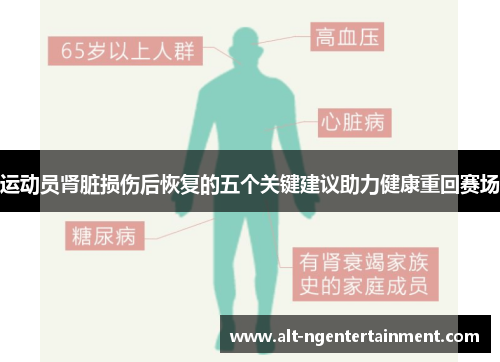 运动员肾脏损伤后恢复的五个关键建议助力健康重回赛场