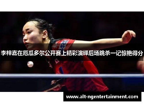 李梓嘉在厄瓜多尔公开赛上精彩演绎后场跳杀一记惊艳得分