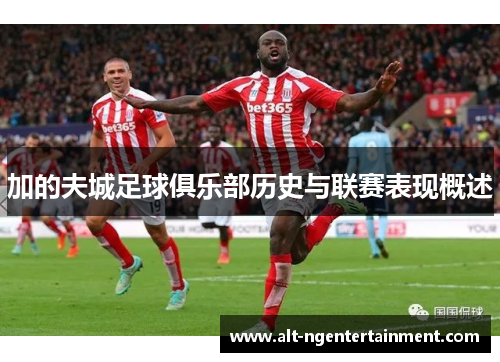 加的夫城足球俱乐部历史与联赛表现概述 加的夫城足球俱乐部历史与联赛表现概述